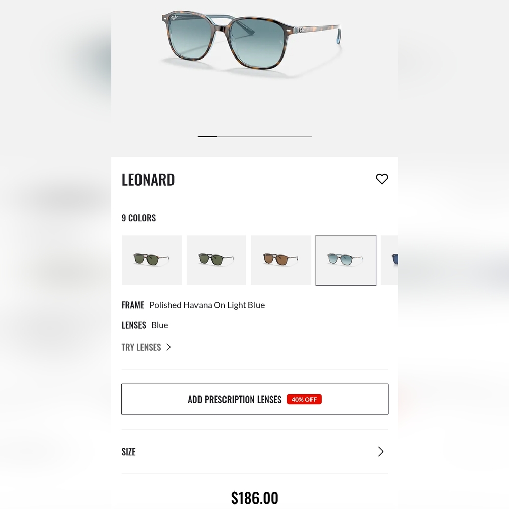 Ray Ban Leonard Sunglasses